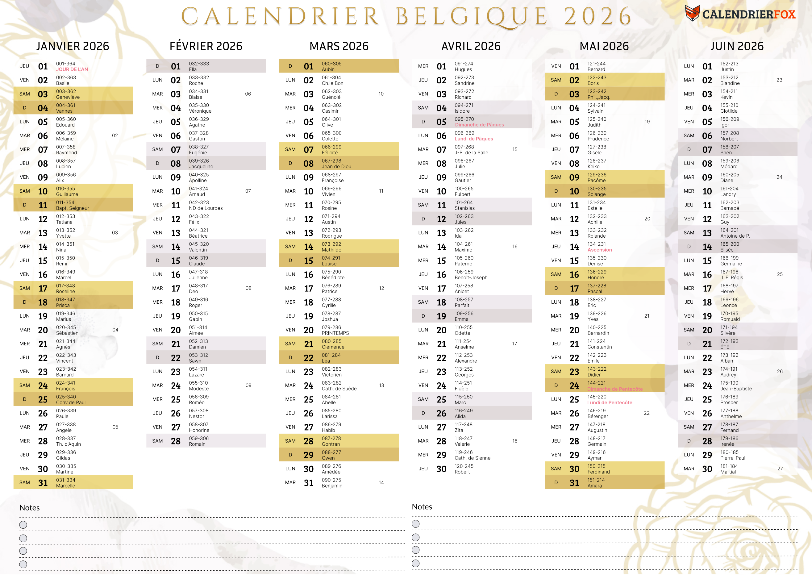 Calendrier Belgique esthétique 2026 avec jours fériés